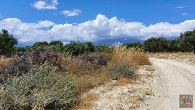 Kamilari Kreta Kamilari, Baugrundstück 2.000m² mit Baugenehmigung! zu verkaufen Grundstück kaufen